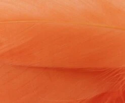 Nature's Spirit Select Goose Shoulder Feathers - Funky Fly Tying -Fishing Accessories Store Natures Spirit Select Goose Shoulder Feathers Fluo Orange