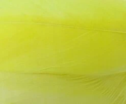 Nature's Spirit Select Goose Shoulder Feathers - Funky Fly Tying -Fishing Accessories Store Natures Spirit Select Goose Shoulder Feathers Fluo Yellow