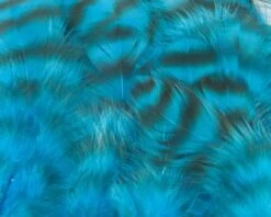 Nature's Spirit Select Grizzly Collaring Hackle (soft Hackle) - Funky Fly Tying -Fishing Accessories Store Natures Spirit Select Grizzly Collaring Hackle soft hackle Fluo Blue 1