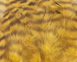 Nature's Spirit Select Grizzly Collaring Hackle (soft Hackle) - Funky Fly Tying -Fishing Accessories Store Natures Spirit Select Grizzly Collaring Hackle soft hackle Gold 1