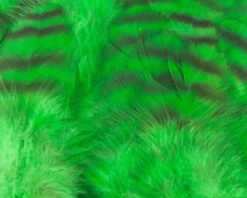 Nature's Spirit Select Grizzly Collaring Hackle (soft Hackle) - Funky Fly Tying -Fishing Accessories Store Natures Spirit Select Grizzly Collaring Hackle soft hackle Green 1