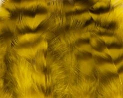 Nature's Spirit Select Grizzly Collaring Hackle (soft Hackle) - Funky Fly Tying -Fishing Accessories Store Natures Spirit Select Grizzly Collaring Hackle soft hackle Light Olive