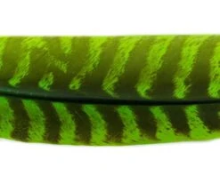 Nature's Spirit Select Ozark Barred Turkey Quills - Funky Fly Tying -Fishing Accessories Store Natures Spirit Select Ozark Barred Turkey Quills Caddis Green 1