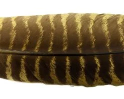 Nature's Spirit Select Ozark Barred Turkey Quills - Funky Fly Tying -Fishing Accessories Store Natures Spirit Select Ozark Barred Turkey Quills Olive