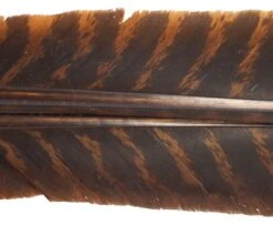 Nature's Spirit Select Wild Turkey Barred Biot Quills - Funky Fly Tying -Fishing Accessories Store Natures Spirit Select Wild Turkey Barred Biot Quills Brown