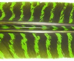 Nature's Spirit Select Wild Turkey Barred Biot Quills - Funky Fly Tying -Fishing Accessories Store Natures Spirit Select Wild Turkey Barred Biot Quills Caddis Green