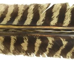 Nature's Spirit Select Wild Turkey Barred Biot Quills - Funky Fly Tying -Fishing Accessories Store Natures Spirit Select Wild Turkey Barred Biot Quills Grey Olive 1