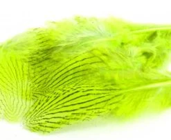 Nature's Spirit Silver Pheasant Body Feathers (Discontinued) - Funky Fly Tying -Fishing Accessories Store Natures Spirit Silver Pheasant Body Feathers Discontinued Fluo Chartereuse 1