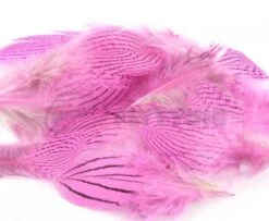 Nature's Spirit Silver Pheasant Body Feathers (Discontinued) - Funky Fly Tying -Fishing Accessories Store Natures Spirit Silver Pheasant Body Feathers Discontinued Fluo Hot Pink 1