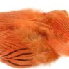 Nature's Spirit Silver Pheasant Body Feathers (Discontinued) - Funky Fly Tying