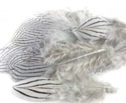 Nature's Spirit Silver Pheasant Body Feathers (Discontinued) - Funky Fly Tying -Fishing Accessories Store Natures Spirit Silver Pheasant Body Feathers Discontinued Ligth Grey 1