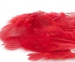 Nature's Spirit Silver Pheasant Body Feathers (Discontinued) - Funky Fly Tying -Fishing Accessories Store Natures Spirit Silver Pheasant Body Feathers Discontinued Red 1