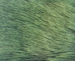 Nature's Spirit Spinning Cow Elk - Funky Fly Tying -Fishing Accessories Store Natures Spirit Spinning Cow Elk Frog Green 1