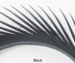 Nature's Spirit Stripped Goose Biots - Funky Fly Tying 35 Nature's Spirit Stripped Goose Biots - Funky Fly Tying -Fishing Accessories Store Natures Spirit Stripped Goose Biots Black 1