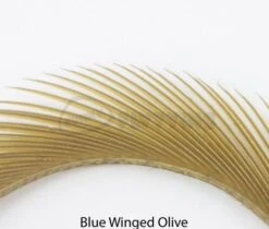 Nature's Spirit Stripped Goose Biots - Funky Fly Tying 32 Nature's Spirit Stripped Goose Biots - Funky Fly Tying -Fishing Accessories Store Natures Spirit Stripped Goose Biots Blue Winged Olive