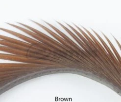 Nature's Spirit Stripped Goose Biots - Funky Fly Tying 29 Nature's Spirit Stripped Goose Biots - Funky Fly Tying -Fishing Accessories Store Natures Spirit Stripped Goose Biots Brown 1