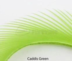 Nature's Spirit Stripped Goose Biots - Funky Fly Tying 27 Nature's Spirit Stripped Goose Biots - Funky Fly Tying -Fishing Accessories Store Natures Spirit Stripped Goose Biots Caddis Green 1