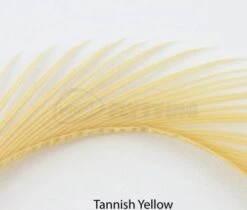 Nature's Spirit Stripped Goose Biots - Funky Fly Tying 40 Nature's Spirit Stripped Goose Biots - Funky Fly Tying -Fishing Accessories Store Natures Spirit Stripped Goose Biots Tannish Yellow