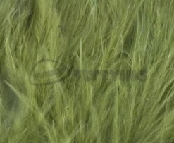 Nature's Spirit Strung Blood Marabou 1/4oz (Discontinued) - Funky Fly Tying 24 Nature's Spirit Strung Blood Marabou 1/4oz (Discontinued) - Funky Fly Tying -Fishing Accessories Store Natures Spirit Strung Blood Marabou 1 4oz Discontinued Olive