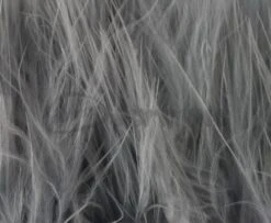 Nature's Spirit Strung Blood Marabou 1/4oz (Discontinued) - Funky Fly Tying 40 Nature's Spirit Strung Blood Marabou 1/4oz (Discontinued) - Funky Fly Tying -Fishing Accessories Store Natures Spirit Strung Blood Marabou 1 4oz Discontinued brown olive