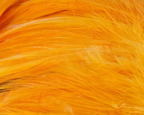 Nature's Spirit Strung Neck Hackle - Funky Fly Tying 19 Nature's Spirit Strung Neck Hackle - Funky Fly Tying - Image 17