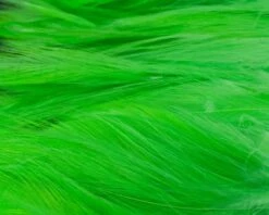 Nature's Spirit Strung Neck Hackle - Funky Fly Tying 35 Nature's Spirit Strung Neck Hackle - Funky Fly Tying -Fishing Accessories Store Natures Spirit Strung Neck Hackle Fluo Chartereuse 1