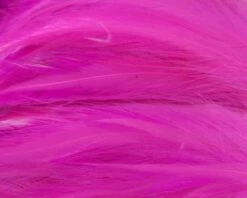 Nature's Spirit Strung Neck Hackle - Funky Fly Tying 32 Nature's Spirit Strung Neck Hackle - Funky Fly Tying -Fishing Accessories Store Natures Spirit Strung Neck Hackle Fluo Hot Pink