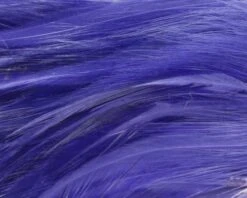 Nature's Spirit Strung Neck Hackle - Funky Fly Tying 27 Nature's Spirit Strung Neck Hackle - Funky Fly Tying -Fishing Accessories Store Natures Spirit Strung Neck Hackle Purple 1