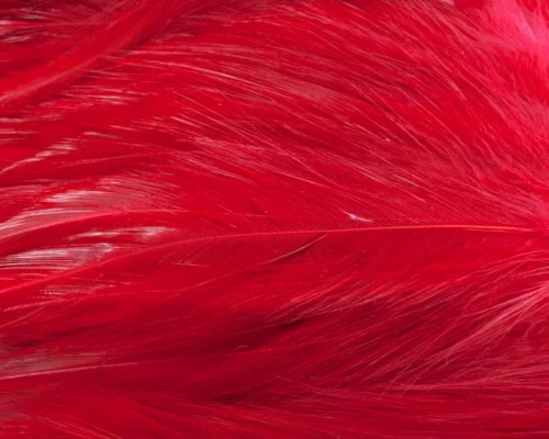 Nature's Spirit Strung Neck Hackle - Funky Fly Tying 6 Nature's Spirit Strung Neck Hackle - Funky Fly Tying - Image 4