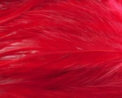 Nature's Spirit Strung Neck Hackle - Funky Fly Tying 24 Nature's Spirit Strung Neck Hackle - Funky Fly Tying -Fishing Accessories Store Natures Spirit Strung Neck Hackle Red