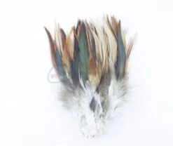 Nature's Spirit Strung Saddle Hackle - Funky Fly Tying -Fishing Accessories Store Natures Spirit Strung Saddle Hackle Natural Furnace 1