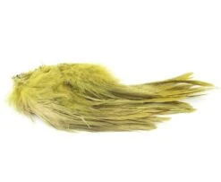 Nature's Spirit Strung Schlappen Long 5 1/2"-7" - Funky Fly Tying -Fishing Accessories Store Natures Spirit Strung Schlappen Long 5½ 7 Olive