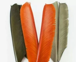Nature's Spirit Turkey Biot Quills - Funky Fly Tying