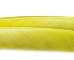 Nature's Spirit Turkey Biot Quills - Funky Fly Tying 41 Nature's Spirit Turkey Biot Quills - Funky Fly Tying -Fishing Accessories Store Natures Spirit Turkey Biot Quills Olive 1