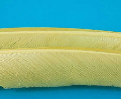 Nature's Spirit Turkey Biot Quills - Funky Fly Tying 19 Nature's Spirit Turkey Biot Quills - Funky Fly Tying - Image 17