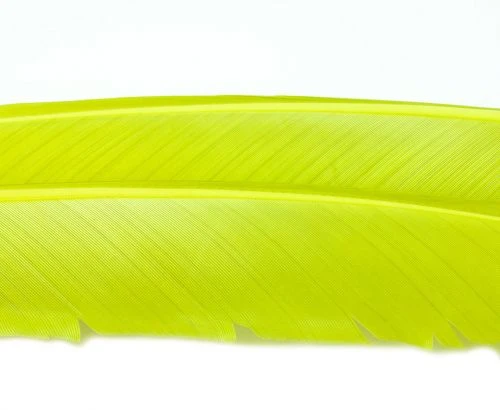 Nature's Spirit Turkey Biot Quills - Funky Fly Tying 17 Nature's Spirit Turkey Biot Quills - Funky Fly Tying - Image 15