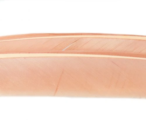 Nature's Spirit Turkey Biot Quills - Funky Fly Tying 16 Nature's Spirit Turkey Biot Quills - Funky Fly Tying - Image 14