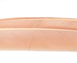 Nature's Spirit Turkey Biot Quills - Funky Fly Tying 34 Nature's Spirit Turkey Biot Quills - Funky Fly Tying -Fishing Accessories Store Natures Spirit Turkey Biot Quills Pink Cahill