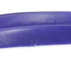 Nature's Spirit Turkey Biot Quills - Funky Fly Tying 32 Nature's Spirit Turkey Biot Quills - Funky Fly Tying -Fishing Accessories Store Natures Spirit Turkey Biot Quills Purple