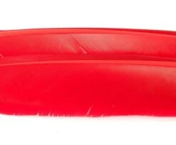 Nature's Spirit Turkey Biot Quills - Funky Fly Tying 30 Nature's Spirit Turkey Biot Quills - Funky Fly Tying -Fishing Accessories Store Natures Spirit Turkey Biot Quills Red