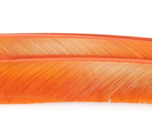 Nature's Spirit Turkey Biot Quills - Funky Fly Tying 10 Nature's Spirit Turkey Biot Quills - Funky Fly Tying - Image 8