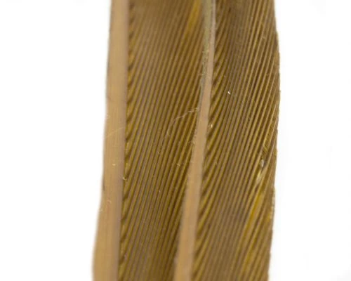 Nature's Spirit Turkey Biot Strips - Funky Fly Tying 16 Nature's Spirit Turkey Biot Strips - Funky Fly Tying - Image 14