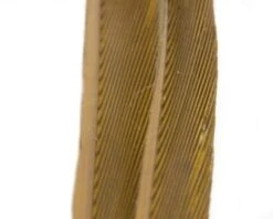 Nature's Spirit Turkey Biot Strips - Funky Fly Tying 34 Nature's Spirit Turkey Biot Strips - Funky Fly Tying -Fishing Accessories Store Natures Spirit Turkey Biot Strips Blue Winged Olive