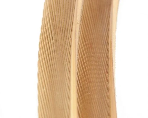 Nature's Spirit Turkey Biot Strips - Funky Fly Tying 8 Nature's Spirit Turkey Biot Strips - Funky Fly Tying - Image 6