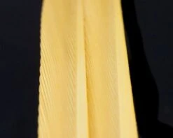 Nature's Spirit Turkey Biot Strips - Funky Fly Tying 41 Nature's Spirit Turkey Biot Strips - Funky Fly Tying -Fishing Accessories Store Natures Spirit Turkey Biot Strips Tannish Yellow 1