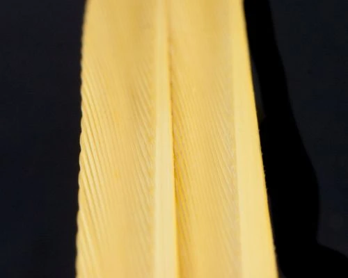 Nature's Spirit Turkey Biot Strips - Funky Fly Tying 21 Nature's Spirit Turkey Biot Strips - Funky Fly Tying - Image 19