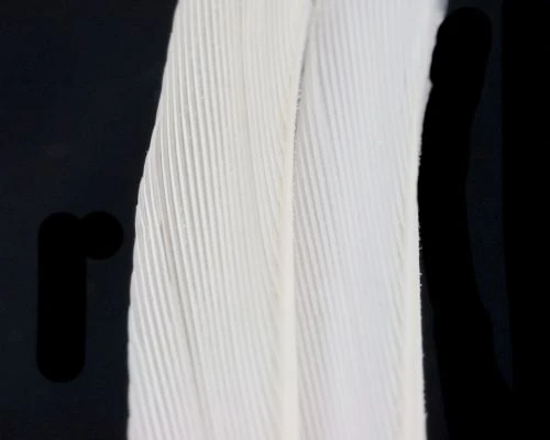 Nature's Spirit Turkey Biot Strips - Funky Fly Tying 20 Nature's Spirit Turkey Biot Strips - Funky Fly Tying - Image 18