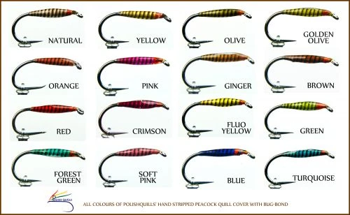 Peacock Quills By Polish Quills - Funky Fly Tying