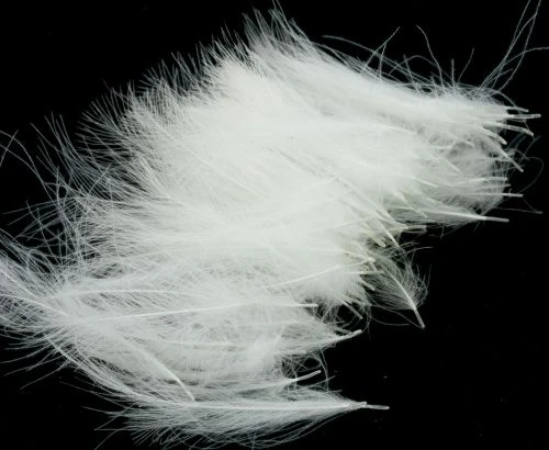 Polish Quills CDC - Funky Fly Tying 17 Polish Quills CDC - Funky Fly Tying - Image 15