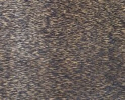 Polish Quills Winter Roe Deer - Funky Fly Tying -Fishing Accessories Store Polish Quills Winter Roe Deer Brown 1